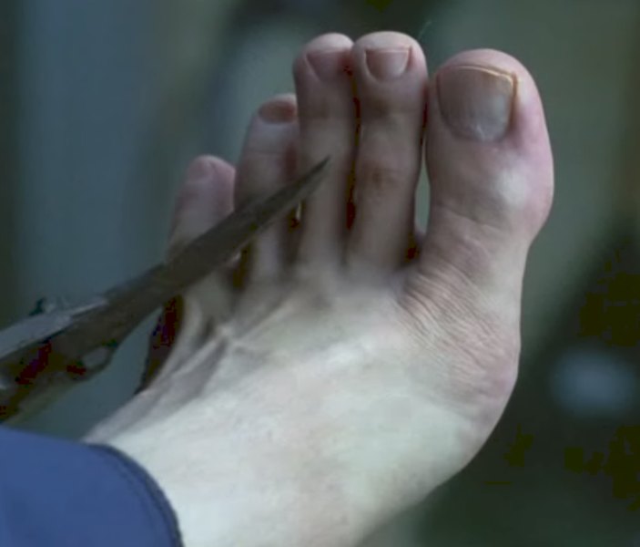 Default Galery:Feet-Celebs-Prison Break.